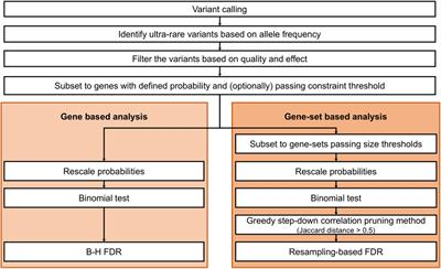 Genes and Pathways Implicated in Tetralogy of Fallot Revealed by Ultra-Rare Variant Burden Analysis in 231 Genome Sequences